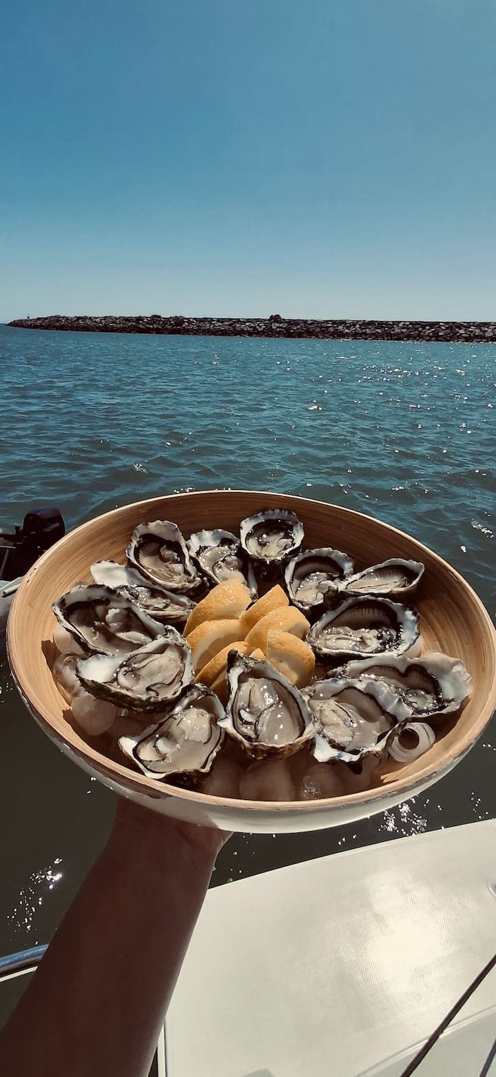 Catamaran Fountaine Pajot 44 (2026) for Charter - Portimao | #27817 - 41