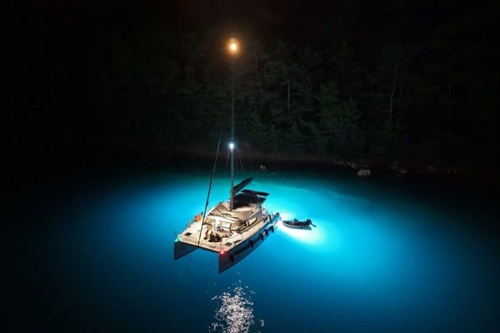  Catamaran Bali 4.2 Open Space (2023) voor Charter - Orhaniye | #28201 - 3