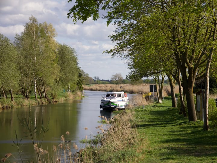 Custom Made, Custom Made (2005) - #28236