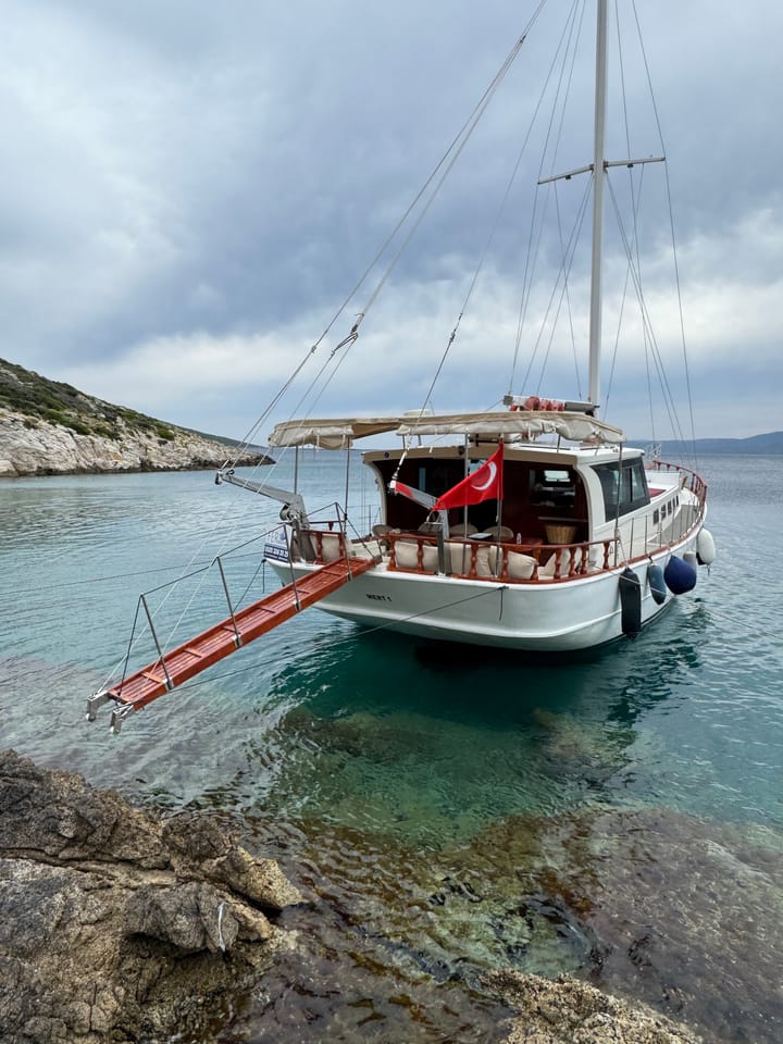 Custom Made Gulet (2024) for Charter - Cesme | #28331 - 4