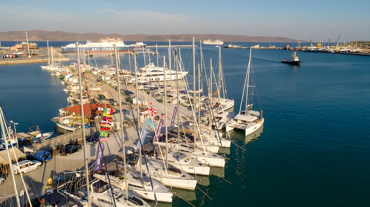 Catamaran Lagoon 450F (2019) for Charter - Lavrion | #4061 - 19