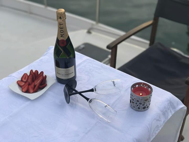 Motor Yacht Waverunner 55 (2014) for Charter - Olbia | #5245 - 31