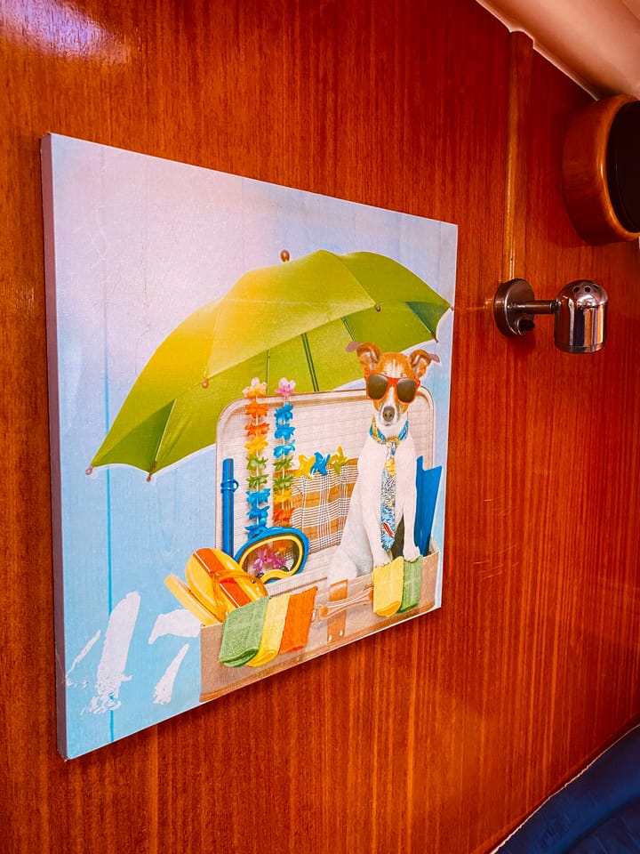  Zeilboot Bavaria  42 Cruiser (2007) voor Charter - Lefkada | #647 - 3