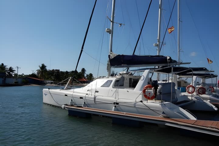Palma di Maiorca 13.3 m Per noleggio Catamarano - #6538 - 4