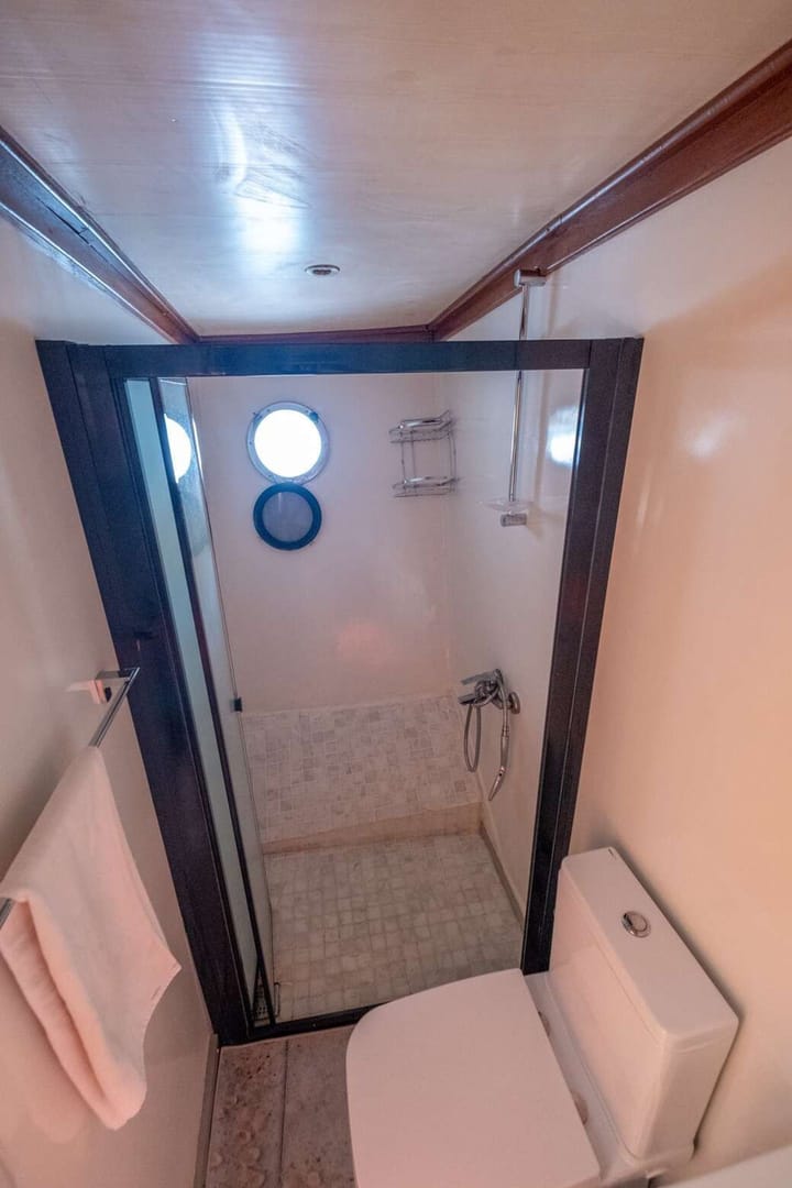 Fait sur mesure Gulet (2010) for Charter - Bozburun | #8157 - 36