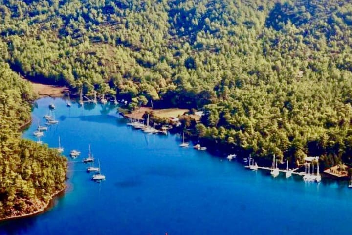  Velero Beneteau Cyclades 43 (2020) para Charter - Çeşme | #8231 - 20