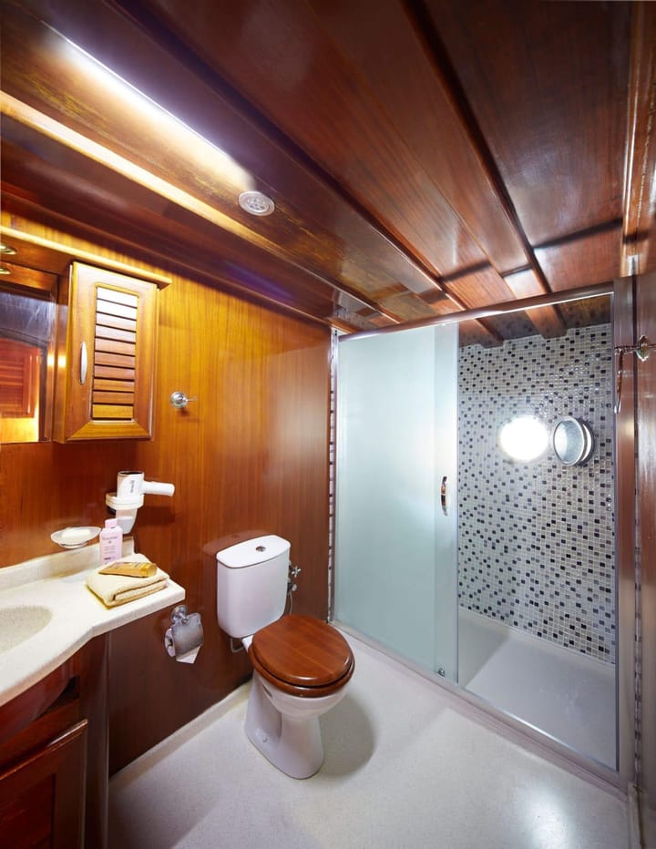 Fait sur mesure Gulet (2020) for Charter - Bozburun | #8856 - 22