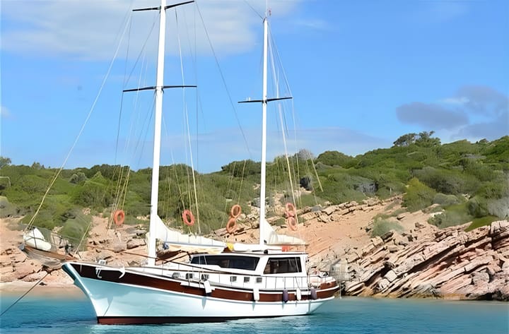 Özel Yapım Kiralık Gulet (2015) - Bodrum | #9105 - 2