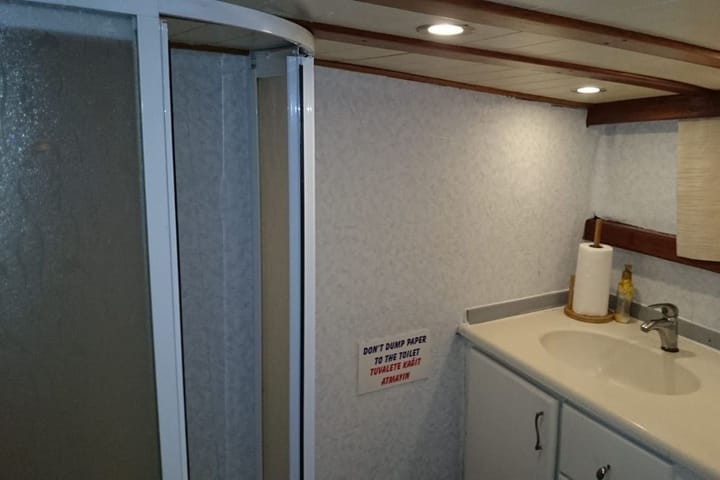 Fait sur mesure Gulet (2006) for Charter - Bodrum | #9254 - 11