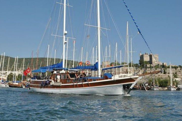 Custom Made Gulet (2020) for Charter - Bodrum | #9319 - 8