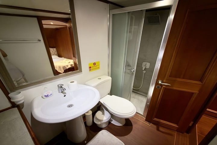 Custom Made Gulet (2021) for Charter - Bodrum | #9320 - 43