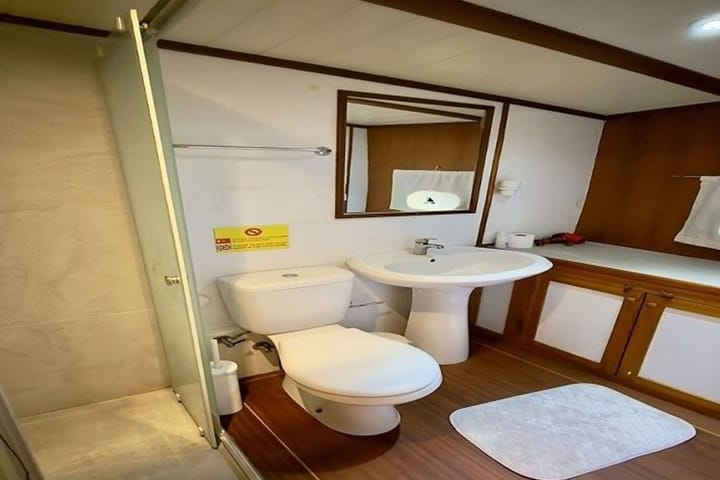 Custom Made Gulet (2021) for Charter - Bodrum | #9320 - 25