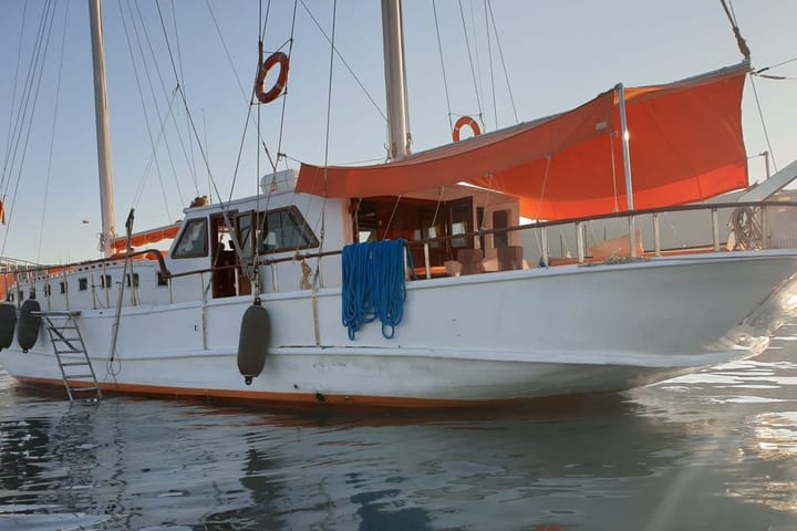 Maßgeschneidert  Gulet (2013) für Charter - Bodrum | # 9468 - 2