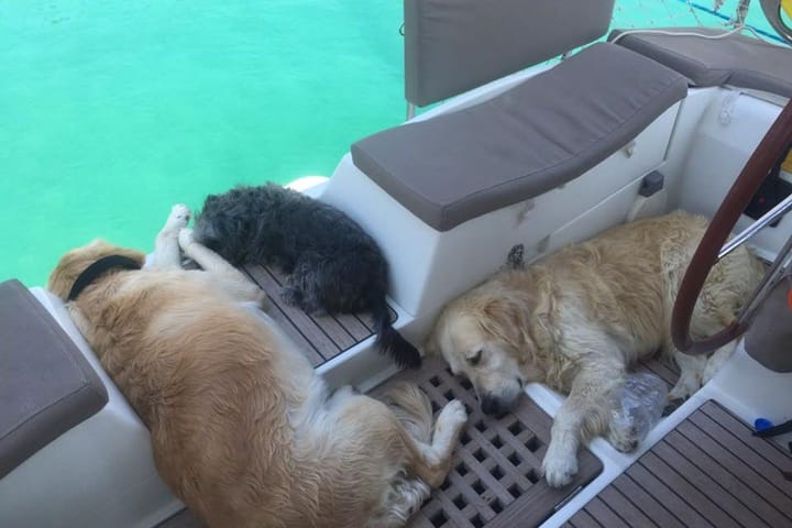 Voilier Beneteau  50 (1998) pour Charter - Izmir | #9568 - 14