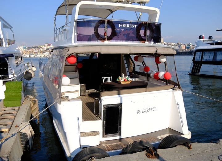 Custom Made Motor Yacht (2020) for Charter - Halic | #9576 - 4