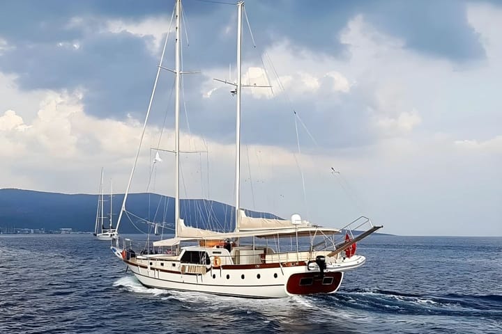 Maßgeschneidert Gulet (2017) für Charter - Bodrum | #9870 - 2