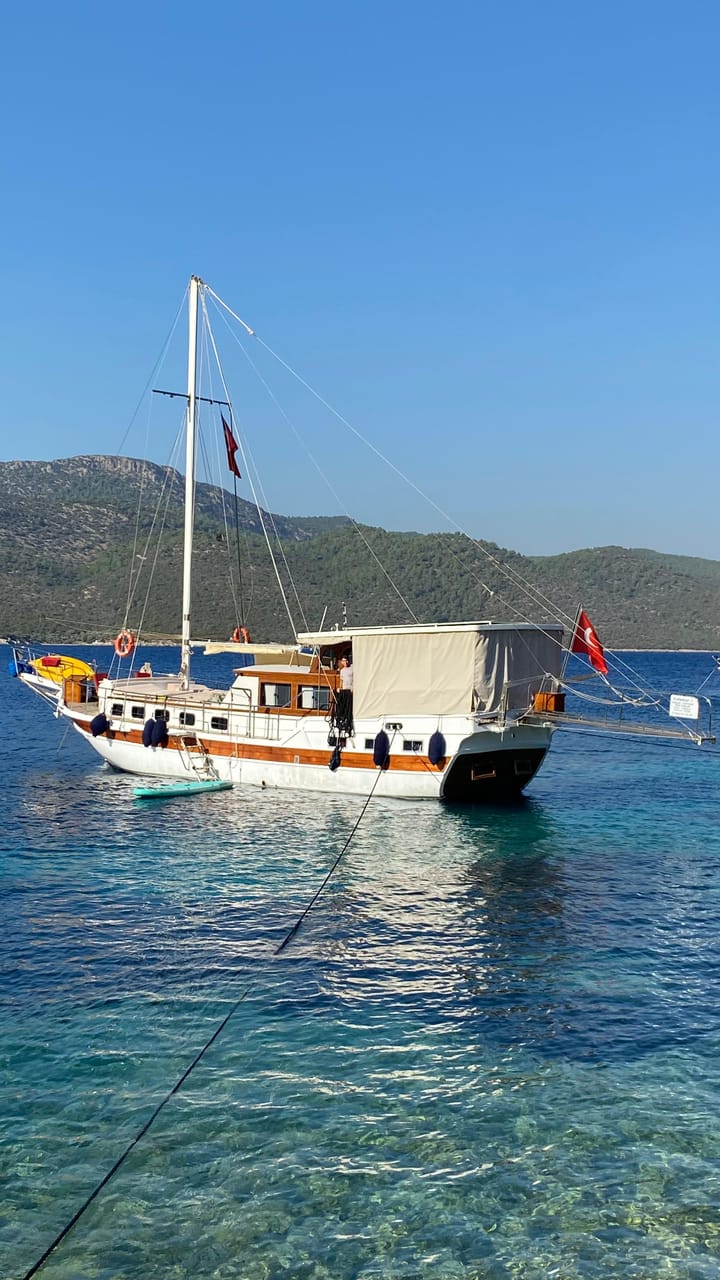 Custom Made Gulet (2020) for Charter - Bodrum | #9954 - 13