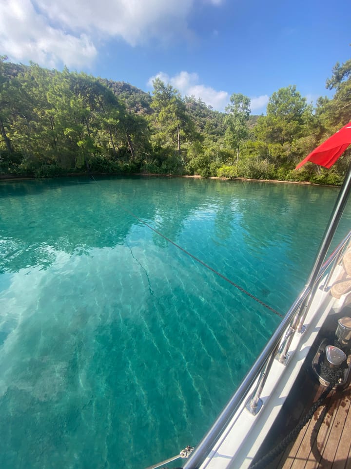 Özel Yapım Kiralık Gulet (2020) - Bodrum | #9954 - 19