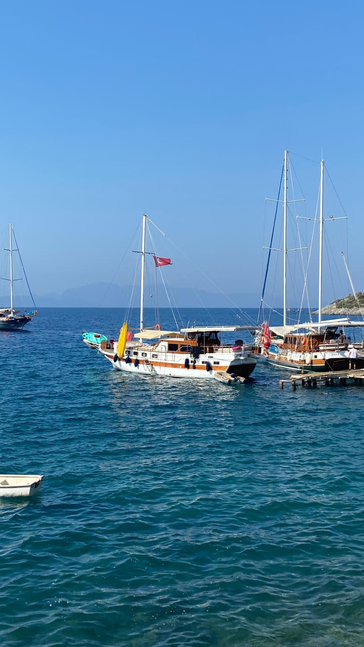 Özel Yapım Kiralık Gulet (2020) - Bodrum | #9954 - 20