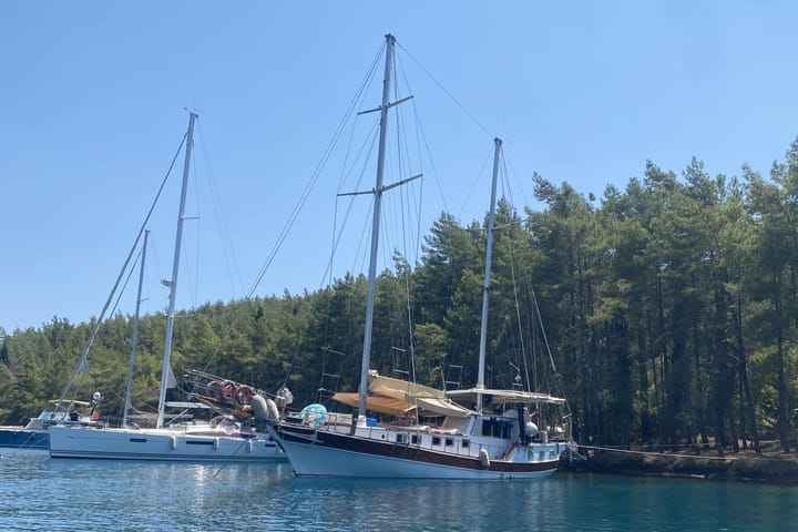 Custom Made Gulet (2019) for Charter - Bodrum | #9988 - 3