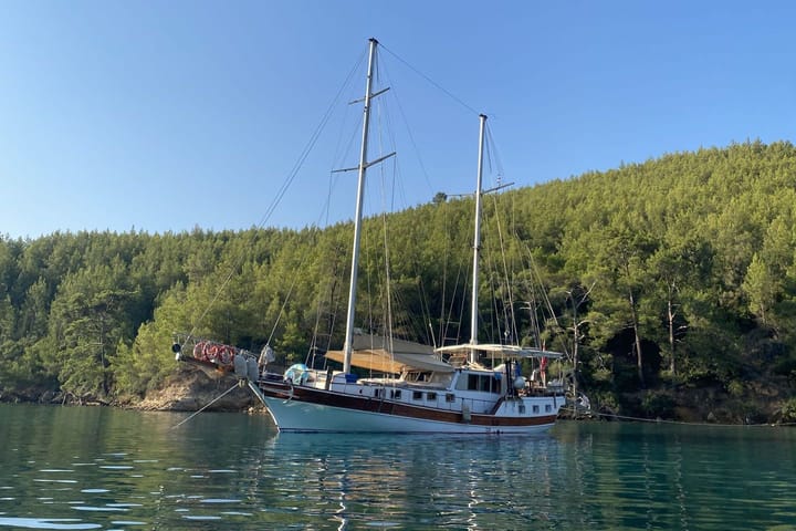 Custom Made Gulet (2019) for Charter - Bodrum | #9988 - 1