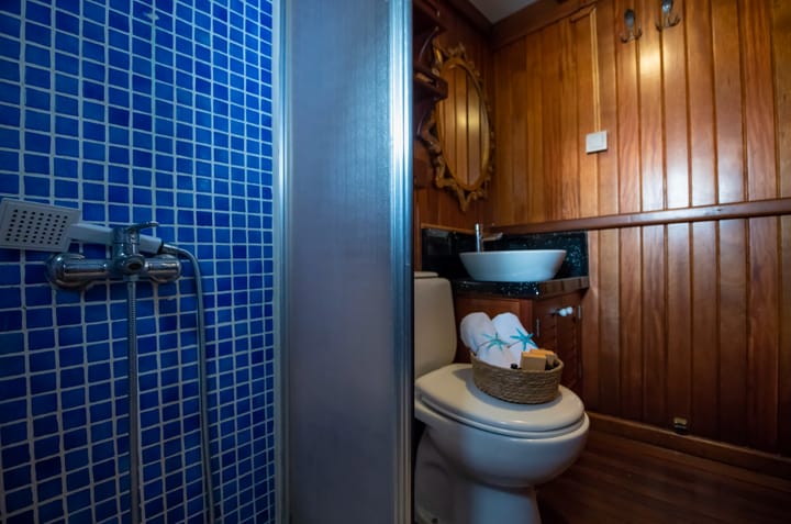 Fait sur mesure Gulet (2018) for Charter - Fethiye | #9994 - 37