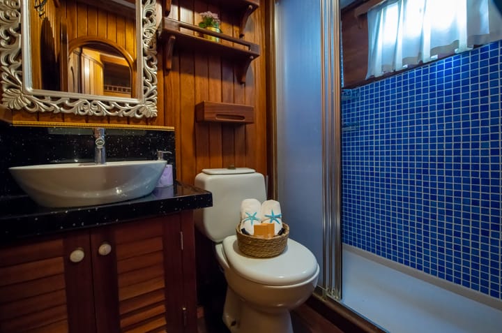 Fait sur mesure Gulet (2018) for Charter - Fethiye | #9994 - 47