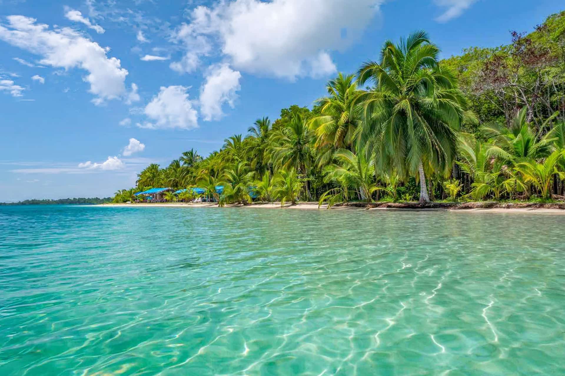 Boot huren in Panama – boten te huur in de baaien van Bocas de Toro